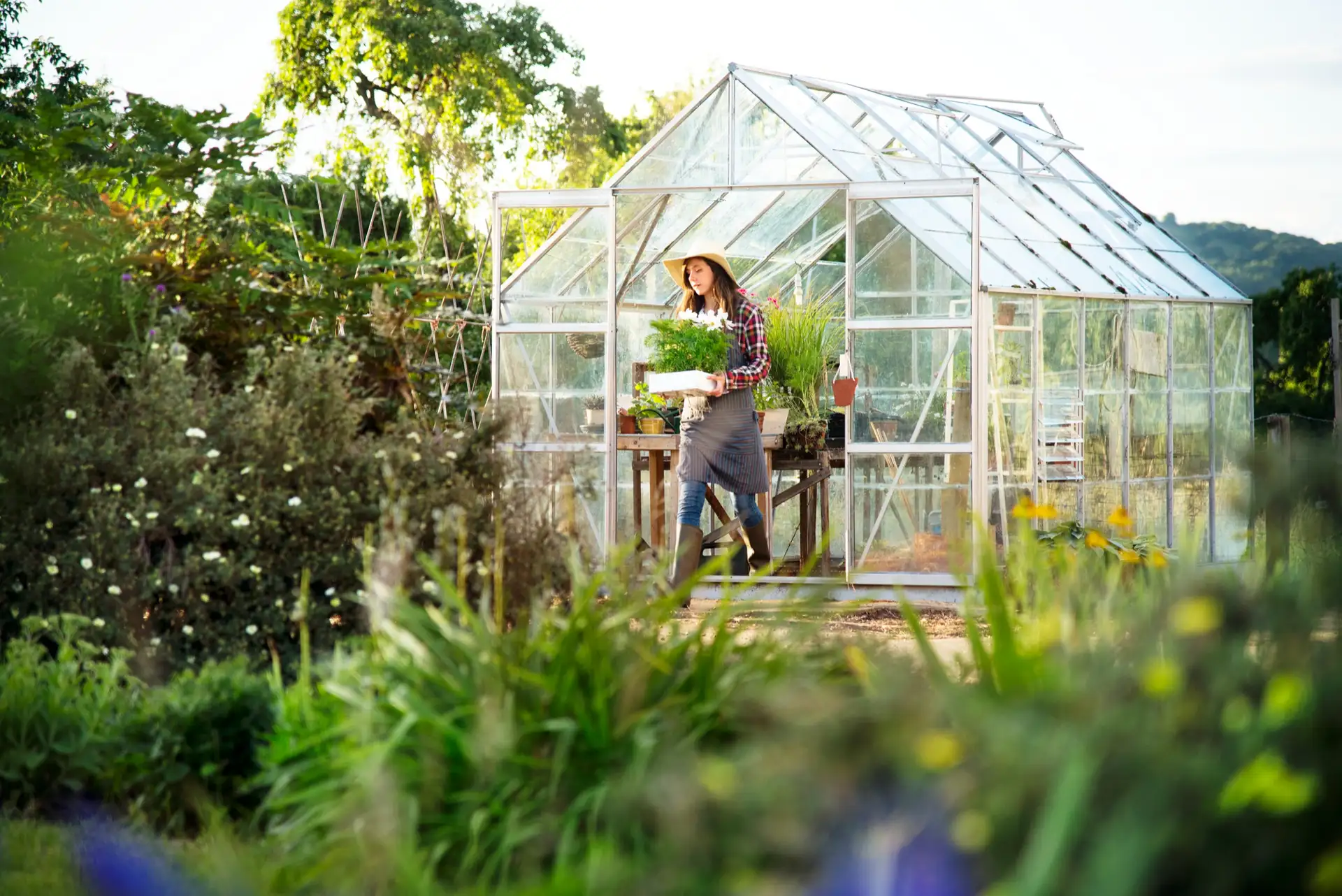 Gardening